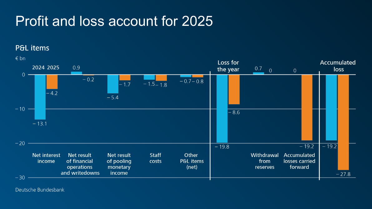 Profit and loss account for 2025