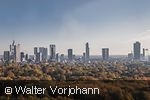 Skyline Frankfurt am Main