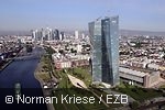 Die Europäische Zentralbank in Frankfurt am Main