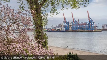 Frühling am Hamburger Hafen